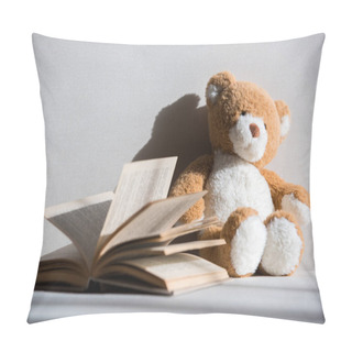 Personality  Teddy Bear And Book Pillow Covers