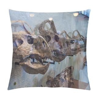 Personality  Protoceratops In American Museum Of Natural History Pillow Covers
