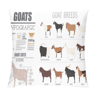 Personality  Goat Breeds Infographic Template. Animal Farming. Flat Design Pillow Covers