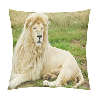 Personality  Male White Lion Pillow Covers