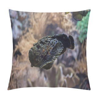 Personality  Reef Stonefish (Synanceia Verrucosa). Pillow Covers