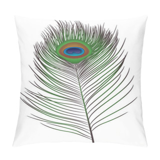 Personality  Peacock Feather Icon, Realistic Style Pillow Covers