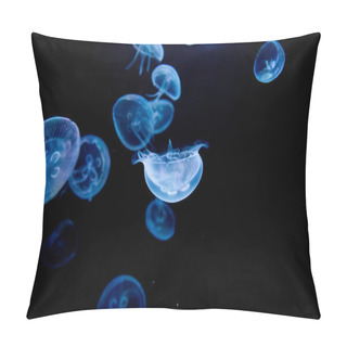 Personality  Jellyfish, Medusa Pillow Covers