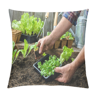 Personality  Farmer Planting Young Seedlings Pillow Covers