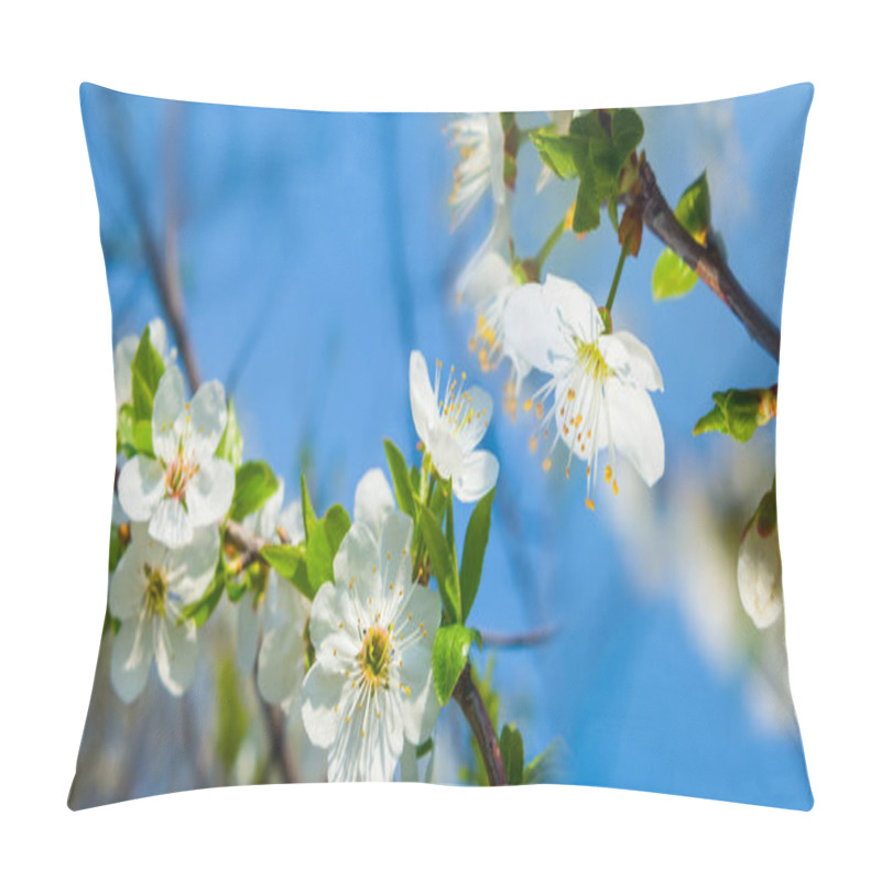 Personality  closeup apple tree branch in blosson, spring rural garden scene pillow covers