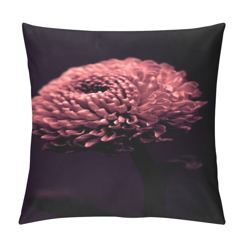 Personality  one beautiful burgundy flower isolated on black pillow covers