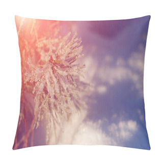 Personality  Winter Wonderland Scene Background, Landscape. Trees, Forest In  Pillow Covers