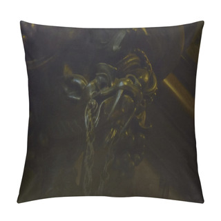 Personality Dragon Sculpture At Barolo Palace In Buenos Aires Argentina Pillow Covers