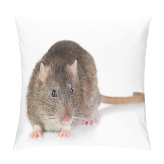 Personality  Rat On White Background Pillow Covers