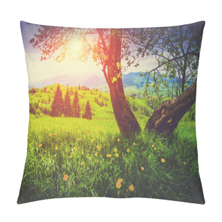 Personality  Spring Sunset. Vintage Colors Pillow Covers