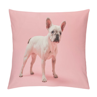 Personality  French Bulldog With White Color And Dark Nose On Pink Background Pillow Covers