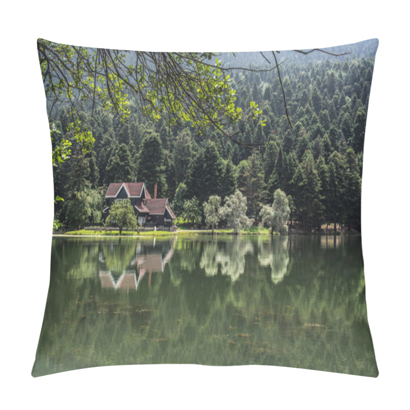 Personality  Reflections On The Lake Pillow Covers