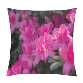 Personality  Springs Vibrant Embrace: Pink Azalea Blooms In Full Glory Pillow Covers