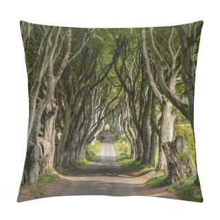 Personality  The Dark Hedges - A Famous Location In Northern Ireland - Travel Photography Pillow Covers