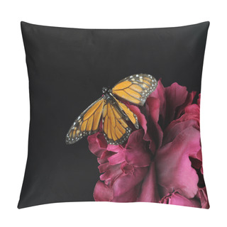 Personality  A Monarch Butterfly On A Purple Flower, Against Black Background. Pillow Covers