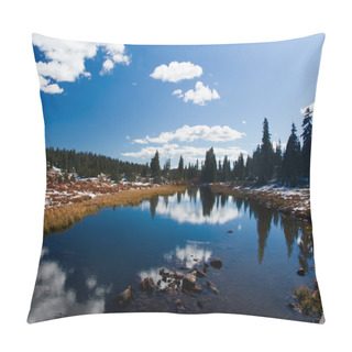 Personality  Yellowstone National Park: Beartooth Pass Pillow Covers