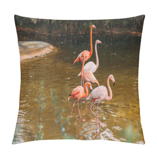 Personality  Flamingos Walking In Pond In Zoological Park, Barcelona, Spain Pillow Covers