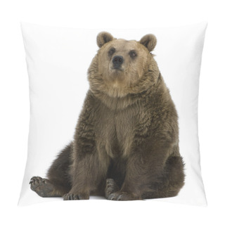 Personality  Female Brown Bear, 8 Years Old, Sitting Against White Background Pillow Covers