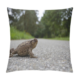 Personality  Toad On The Road Pillow Covers