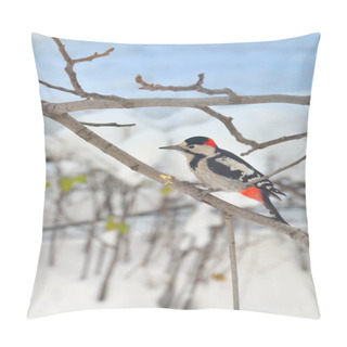 Personality  Great Spotted Woodpecker Pillow Covers
