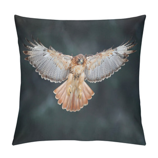 Personality  Flying Bird Of Prey Above The Field Meadow, Red-tailed Hawk, Buteo Jamaicensis, Landing In The Forest. Wildlife Scene From Nature.               Pillow Covers