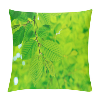 Personality  Early Morning Sun In  Forest Pillow Covers