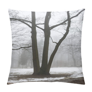 Personality  Snowy Winter Park In Mist Pillow Covers