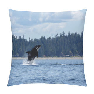 Personality  Jumping Orca Whale  Pillow Covers