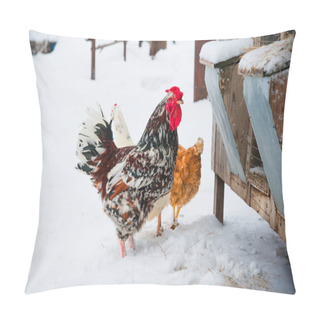 Personality  Beautiful Bright Rooster And Chicken In Snow Pillow Covers
