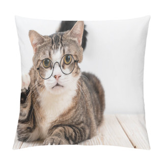 Personality  Cute Grey Cat With Glasses On Wood Background Pillow Covers