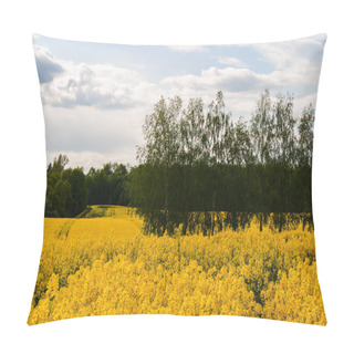 Personality  Beautiful Field Of Yellow Rape And Forest. Pillow Covers