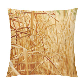 Personality  Close Up Background Texture Of Dry Grass Pillow Covers