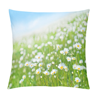 Personality  Camomille Field And Blue Sky Pillow Covers