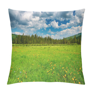 Personality  Landscape With Green Field And Cloudy Sky Pillow Covers