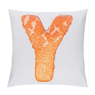 Personality  The English Letter Y Pillow Covers