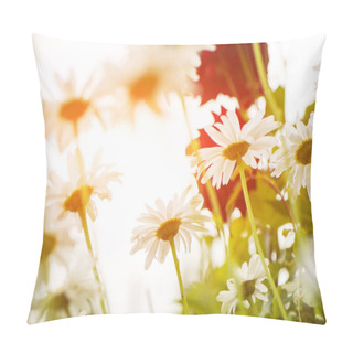 Personality  White Summer Daisy Flowers Pillow Covers