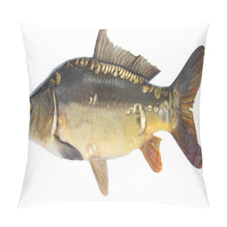 Personality  Fish Mirror Carp. Isolated Fish Without Scales Pillow Covers