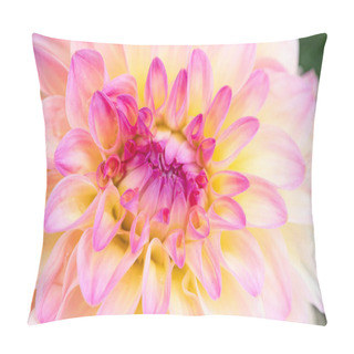 Personality  Colorful Dahlia Flower With Morning Dew Drops Pillow Covers