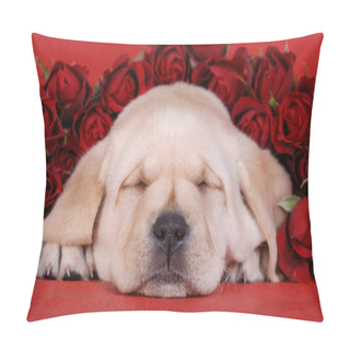 Personality  Labrador Retriever Puppy With Red Roses Pillow Covers