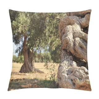 Personality  Detail Of A Twisted Olive Tree Trunk Pillow Covers
