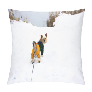 Personality  Yorkshire Terrier Dog On Winter Lake. Small Stylish Dressed Doggy Outside At Cold Winter Snowy Day Puppy In Warm Jumpsuit Domestic Little Dog In Shoes Pillow Covers