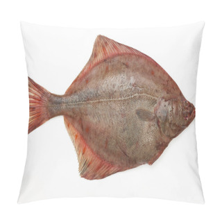 Personality  Big Raw Fish Pillow Covers