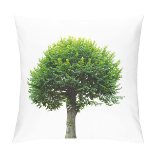 Personality  Green Tree Isolated On White Pillow Covers