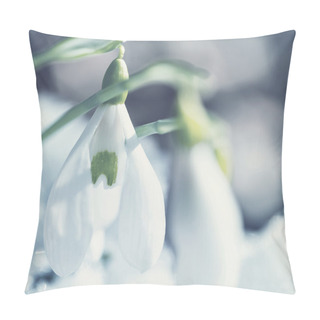 Personality  Snowdrops Pillow Covers