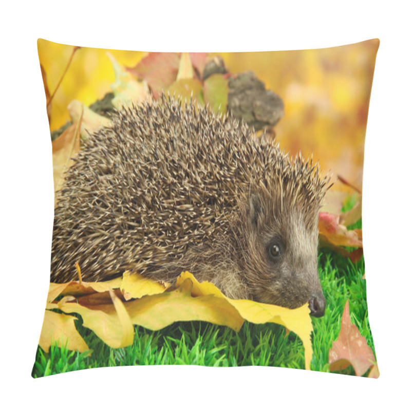 Personality  Hedgehog on autumn leaves in forest pillow covers