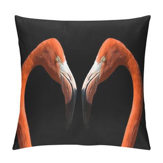 Personality  Flamingo In Love... Pillow Covers