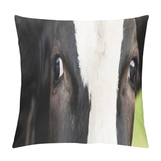 Personality  Close Up View Of Black And White Cow Head, Panoramic Orientation Pillow Covers