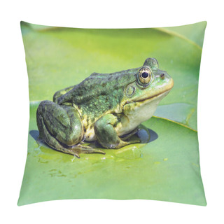 Personality  Marsh Frog On The Lake Pillow Covers