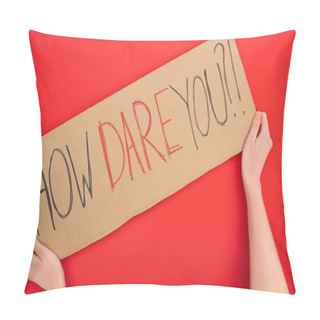 Personality  Cropped View Of Woman Holding Placard With How Dare You Lettering On Red Background, Global Warming Concept Pillow Covers