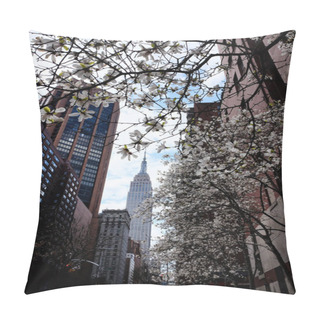 Personality  New York, USA, April 10, 2018: Manhattan View Of New York City Skyscrapers From The Ground. The Empire State Building And Magnolia Trees In Blossom On A Spring Day. Pillow Covers
